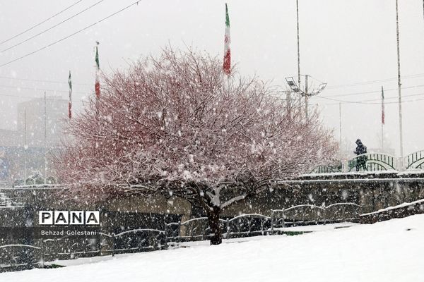 بارش برف در ارومیه
