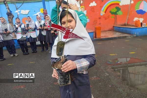 کاشت نهال به یاد شهدای گمنام در دبستان شهید مجیدی ناحیه دو شهرری