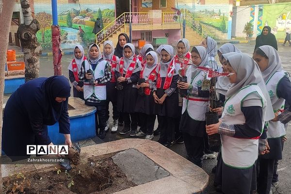کاشت نهال به یاد شهدای گمنام در دبستان شهید مجیدی ناحیه دو شهرری