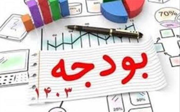 مجلس  بدون پیش بینی منابع نباید به دولت هزینه تحمیل کند