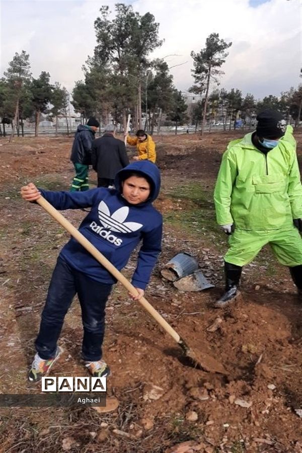کاشت نهال توسط دانش‌آموزان دبستان پسرانه ابوذر منطقه ۱۳
