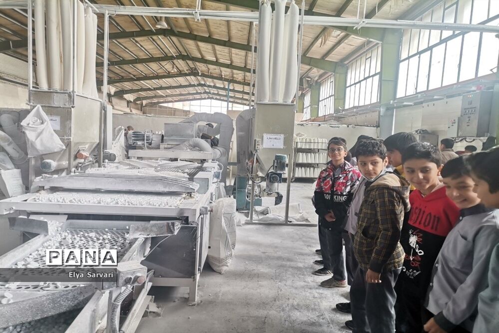 بازدید دانش‌آموزان خلیل آباد از شهرک صنعتی کاشمر