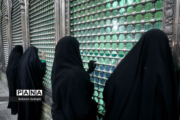 مراسم سالروز گرامیداشت  چهل‌وپنجمین دهه فجر انقلاب اسلامی