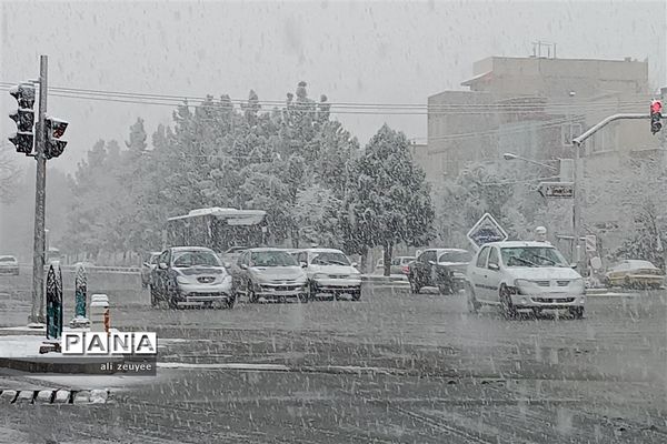 مشهد سفید پوش شد