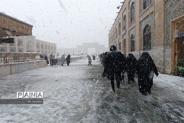 مشهد سفید پوش شد