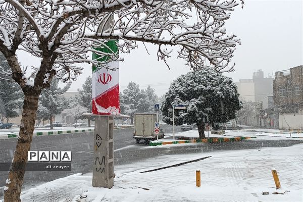 مشهد سفید پوش شد