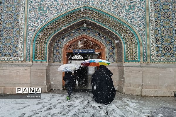 مشهد سفید پوش شد