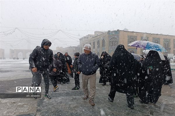 مشهد سفید پوش شد