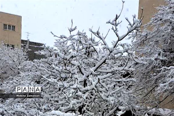 بارش برف زمستانی در مشهد