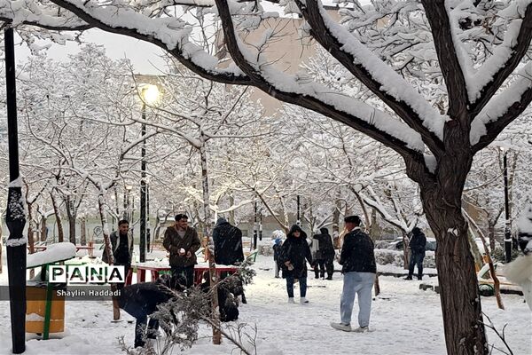 بارش برف زمستانی در مشهد