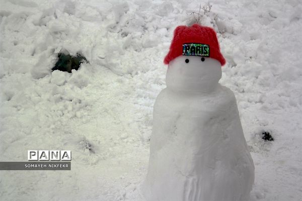شادی مردم تهران در پی بارش برف زمستانی
