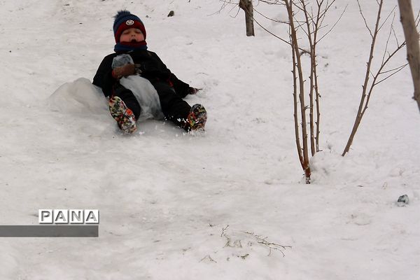 شادی مردم تهران در پی بارش برف زمستانی