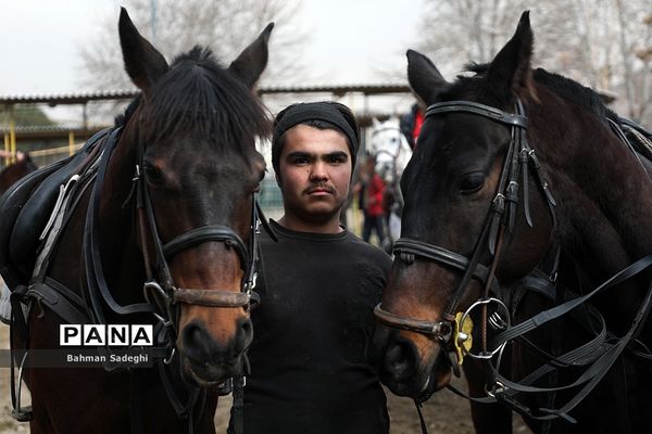 مسابقات لیگ ملی چوگان (جام فجر)