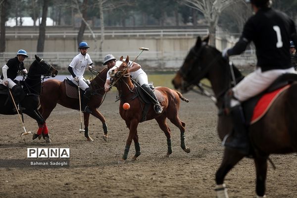 مسابقات لیگ ملی چوگان (جام فجر)