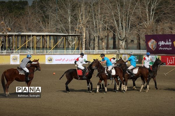 مسابقات لیگ ملی چوگان (جام فجر)