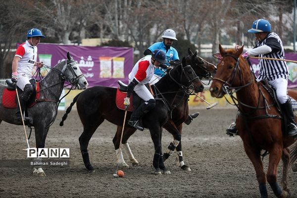 مسابقات لیگ ملی چوگان (جام فجر)