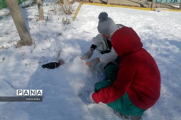جشنواره ساخت آدم‌برفی و پرواز بادبادک‌ها در شهرستان فیروزکوه
