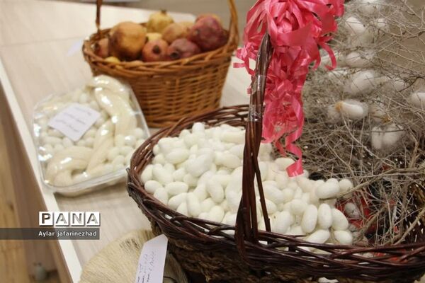 جشنواره طبخ ماهی و دستاوردهای زنان روستایی و عشایری خداآفرین