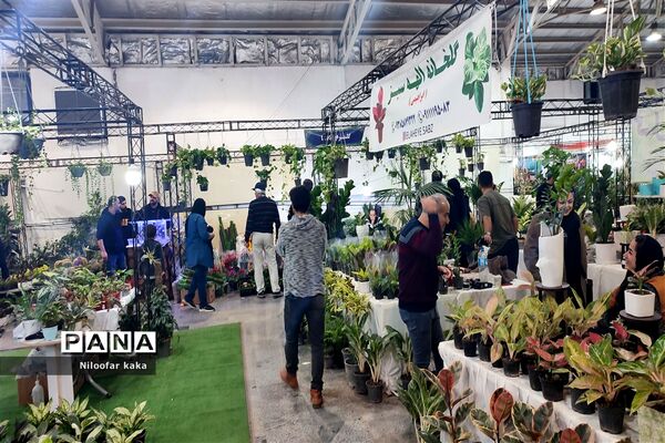 نمایشگاه گل و گیاه و سوغات درقائمشهر