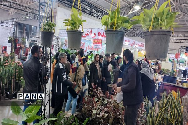 نمایشگاه گل و گیاه و سوغات درقائمشهر