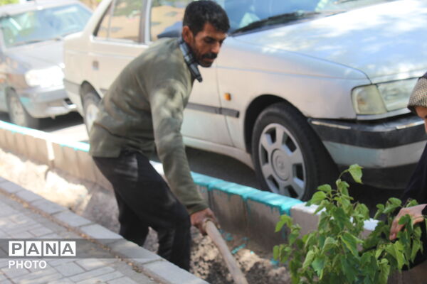 کاشت درخت به نام شهدا