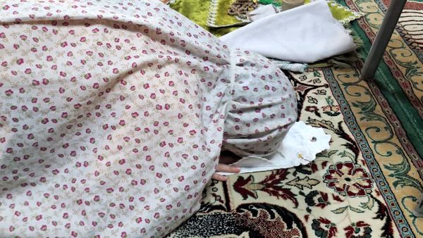 روز دوم دلدادگی دختران نوجوان و جوان البرزی