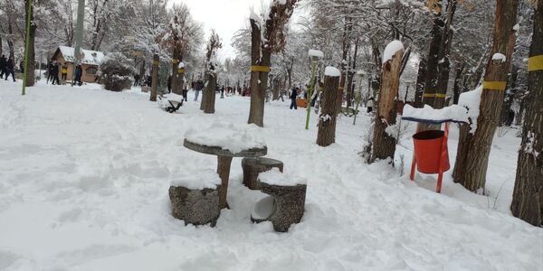 سکوت برفی بروجن، قلب شهر را به تپش انداخت