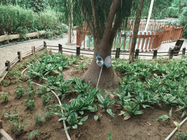 اردوی علمی تفریحی خبرنگاران پانای استان اصفهان