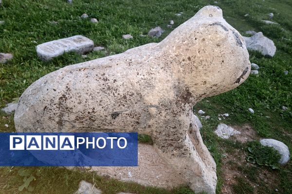 قبرستانی تاریخی و سرسبز به قدمت چند صد ساله در فارس