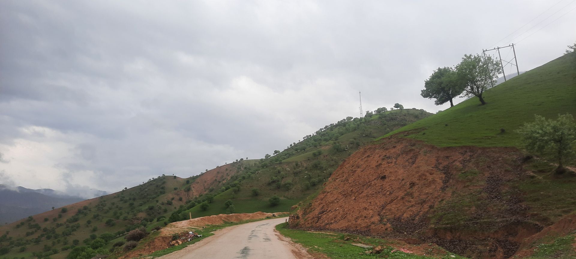 طبیعت بکر شوارز در روز بارانی 