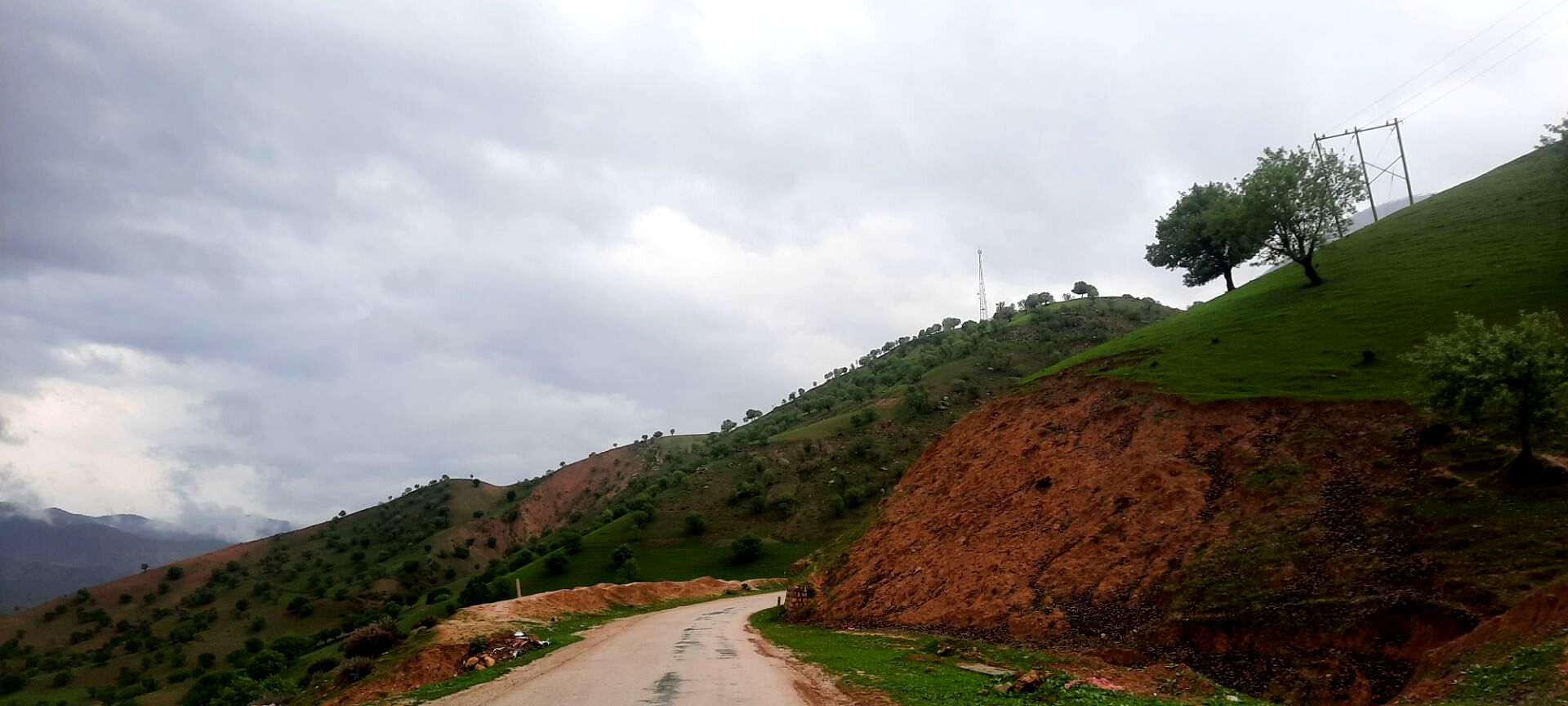 طبیعت بکر شوارز در روز بارانی 