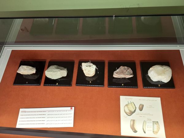 گشتی در تاریخ؛ از مدرسه دارالفنون به سمت دوره ایران باستان