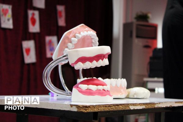 دوره آموزشی آموزگاران پایه مدارس ابتدایی منطقه پردیس