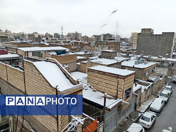بارش برف در مشهد