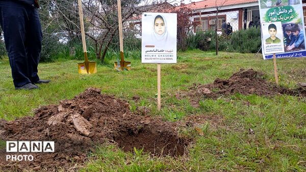 دانش‌آموزان گرگانی نهال عشق به وطن کاشتند