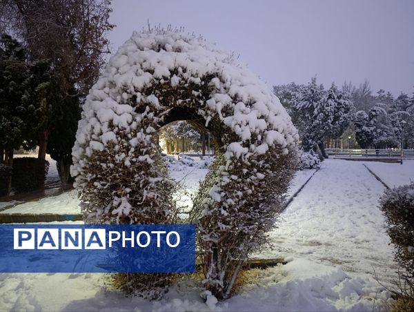 سفید مثل برف