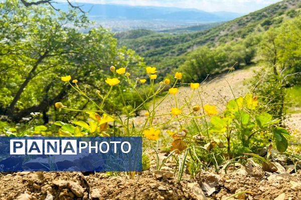 جلوه‌های بهاری طبیعت یاسوج