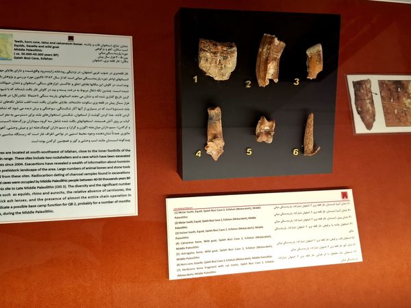 گشتی در تاریخ؛ از مدرسه دارالفنون به سمت دوره ایران باستان