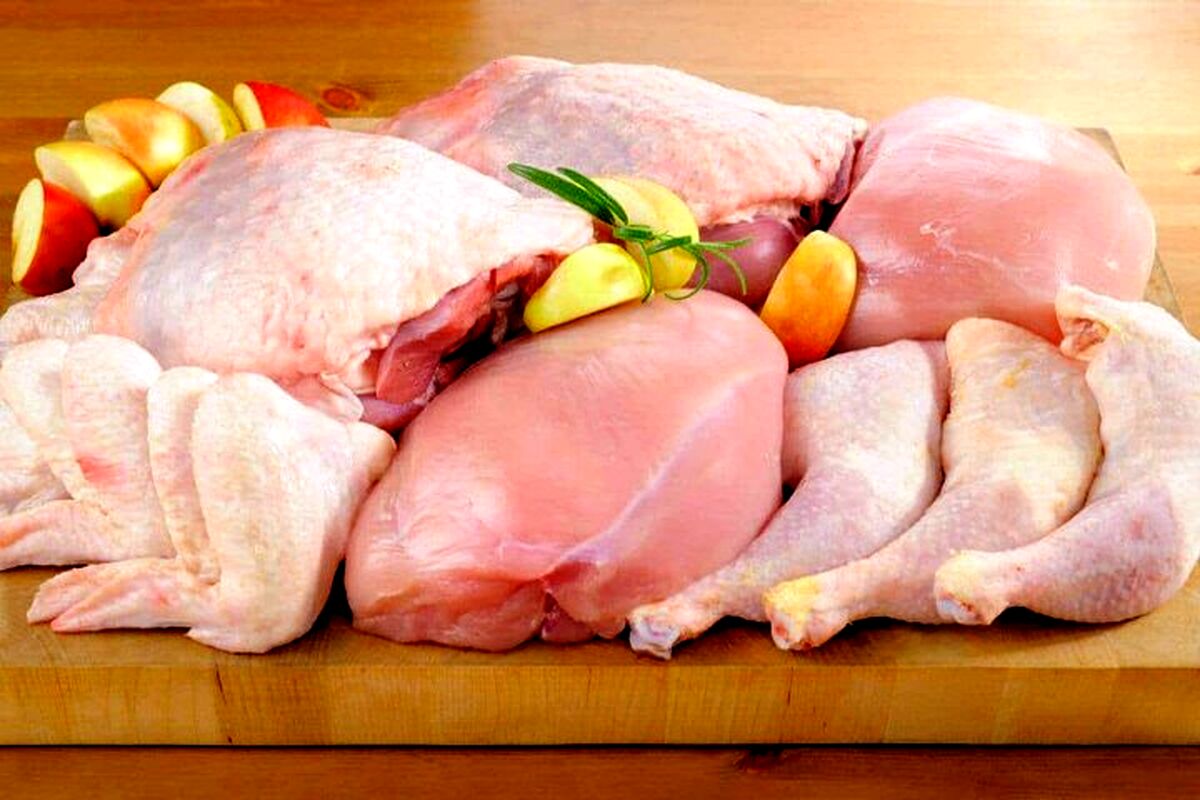 قیمت انواع گوشت بوقلمون بسته بندی و قطعه بندی اعلام شد