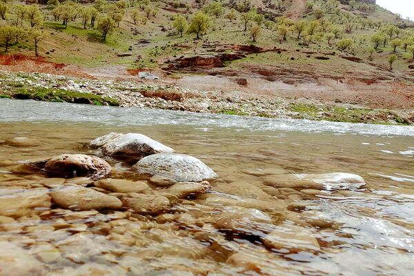 بهار، آغاز دوباره‌ی زندگی طبیعت 