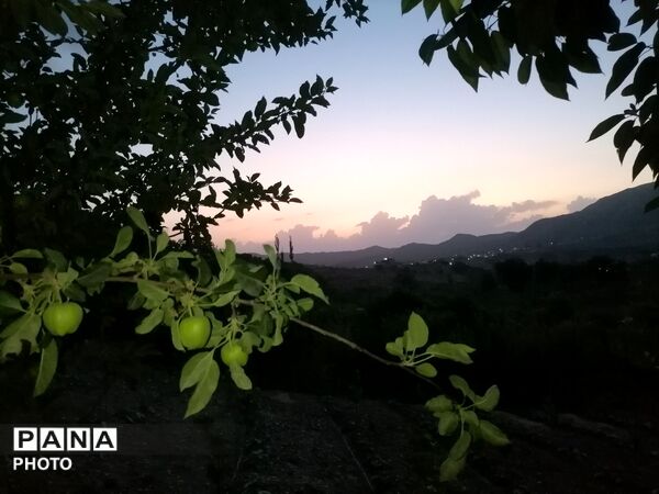 اینبار طبیعت زیبای شهر بار نیشابور در قاب پانا