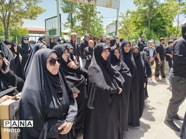 یاران چه غریبانه بودند که رفتند