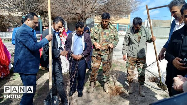 کاشت نهال در مدرسه خدیجه کبری شلمزار