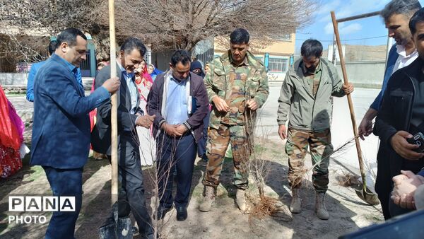کاشت نهال در مدرسه خدیجه کبری شلمزار