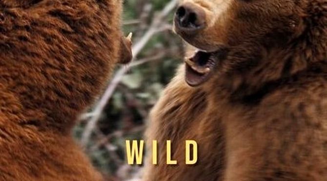 دوبله یک مستند حیات وحش برای تلویزیون