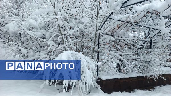 بارش برف در ارتفاعات شاندیز