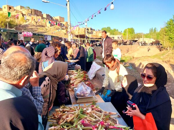 جشنواره ریواس در کوهسرخ