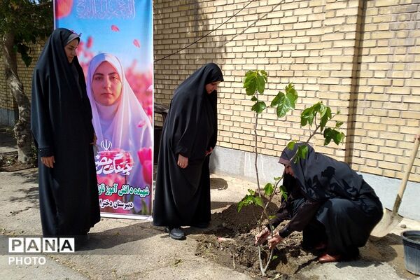 کاشت نهال به یاد یاسمن‌های میناب و شهیده دانش‌آموز نازنین زهرا سیفی 
