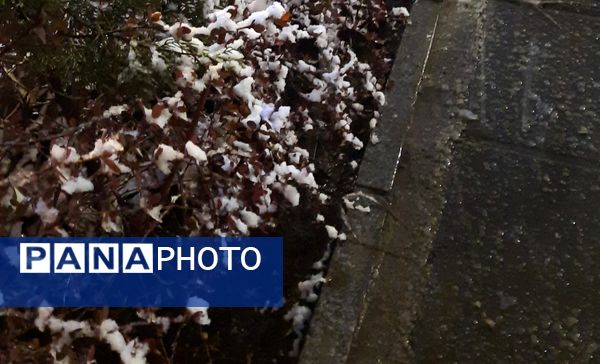 بارش برف در نقاط مختلف شهر مشهد مقدس