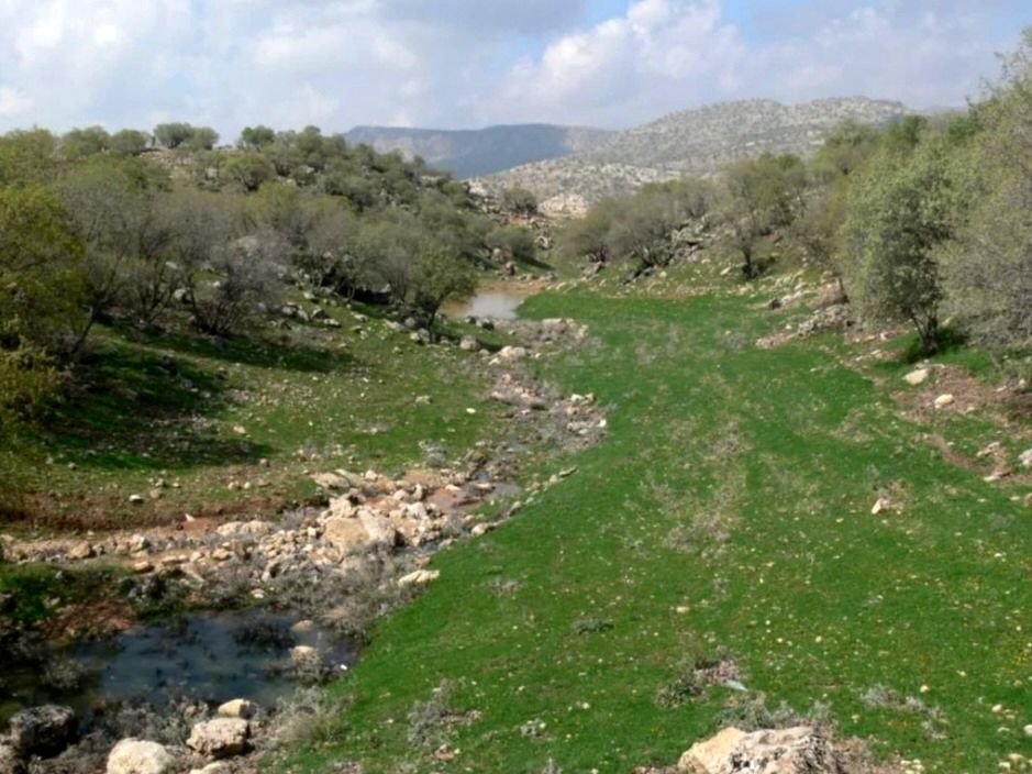 رومشکان گوهر پنهان طبیعت در نوروز ۱۴۰۴